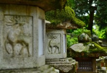 Nara - photo by Renata Blonska