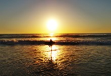 Maroubra Beach Sydney