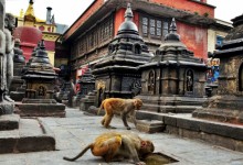 Swayambhunath, Monkey Temple - photo by Renata Blonska