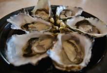 fresh Tasmanian oysters / photo by Renata Blonska