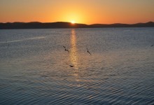 Tasmanian Sunrise / photo by Renata Blonska