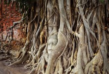 Ayutthaya's famous Buddha, North Thailand / photo by Renata Blonska