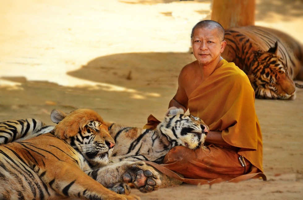 Buddhist Tiger Keeper in Kanchanaburi THAILAND - photo by Renata Blonska