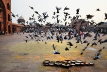 Jama Masjid mosque, Delhi photo by Renata Blonska