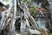 Ta Prohm, a temple bound by massive roots of huge trees - photo by Renata Blonska